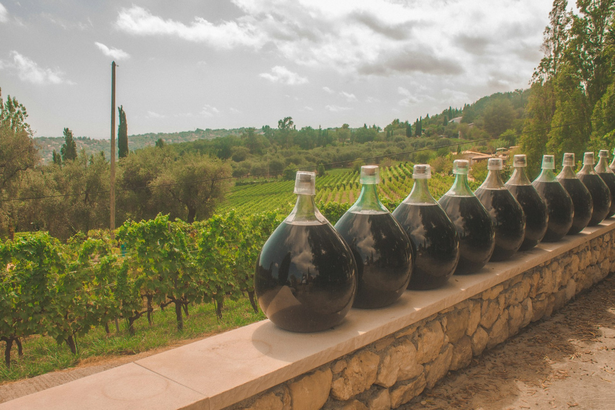 Как современные технологии в области ии изменили виноделие