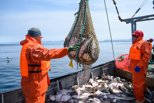 Сергей Красноухов/РИА Новости  