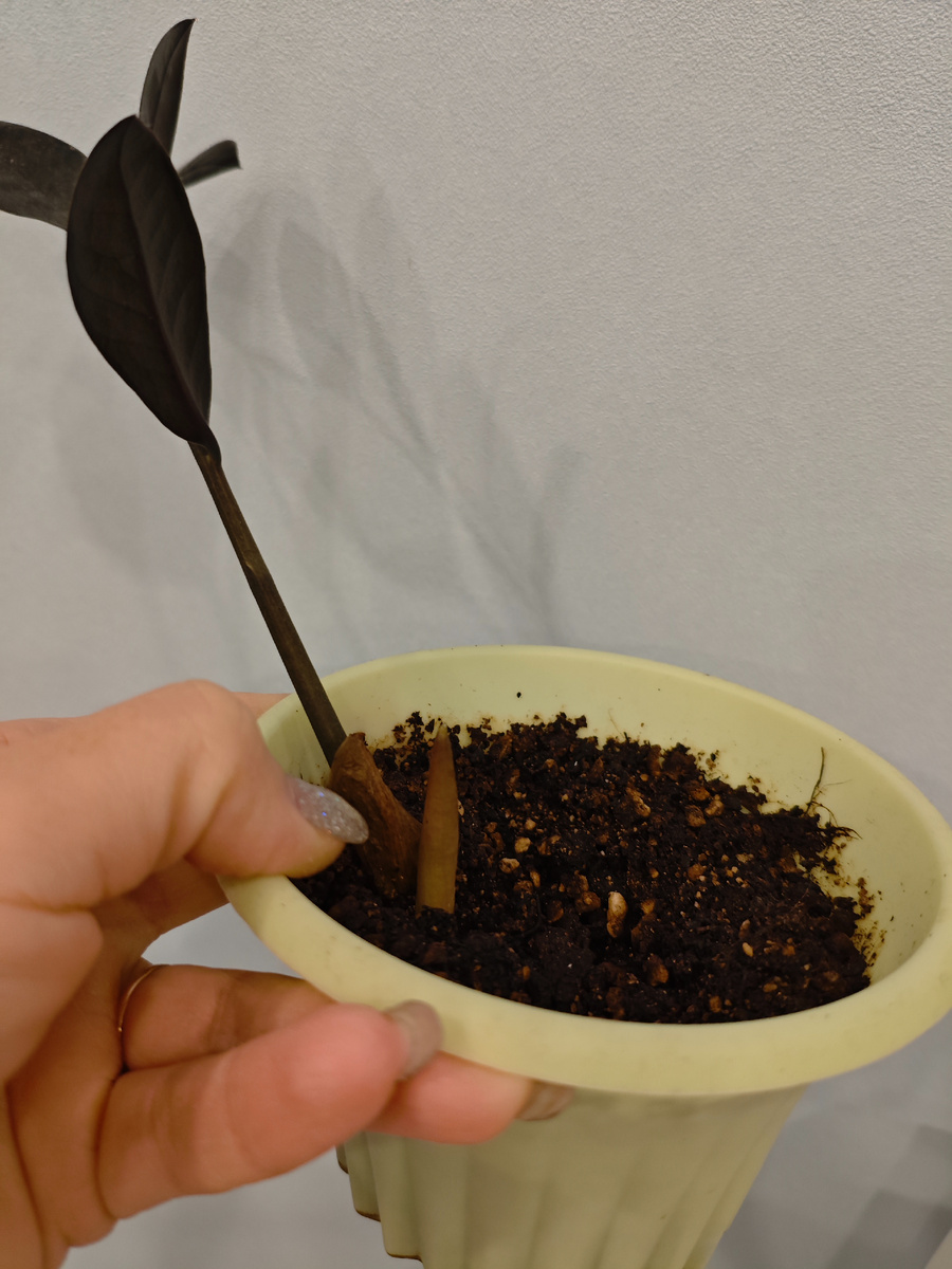 Один из них