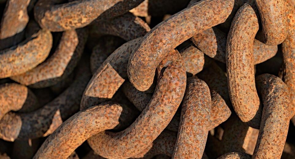    Frederik/http://imagebroker.com/#/search/ / www.globallookpress.com