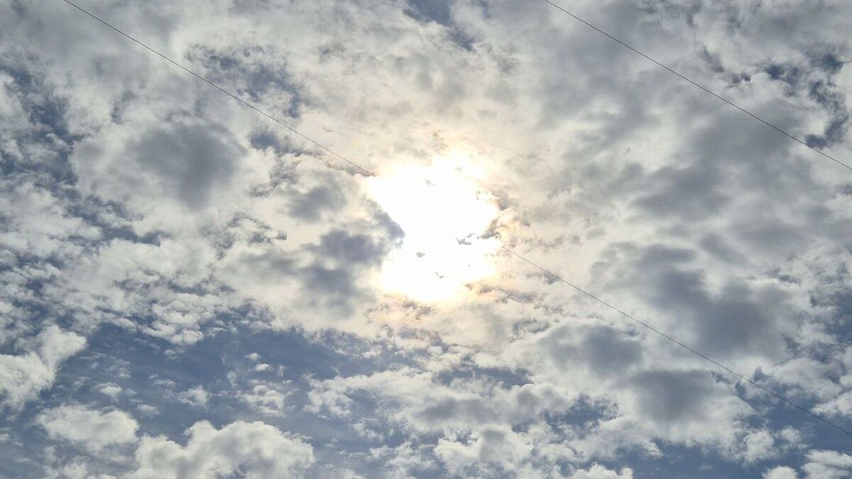    Фото: телеканал «Краснодар»