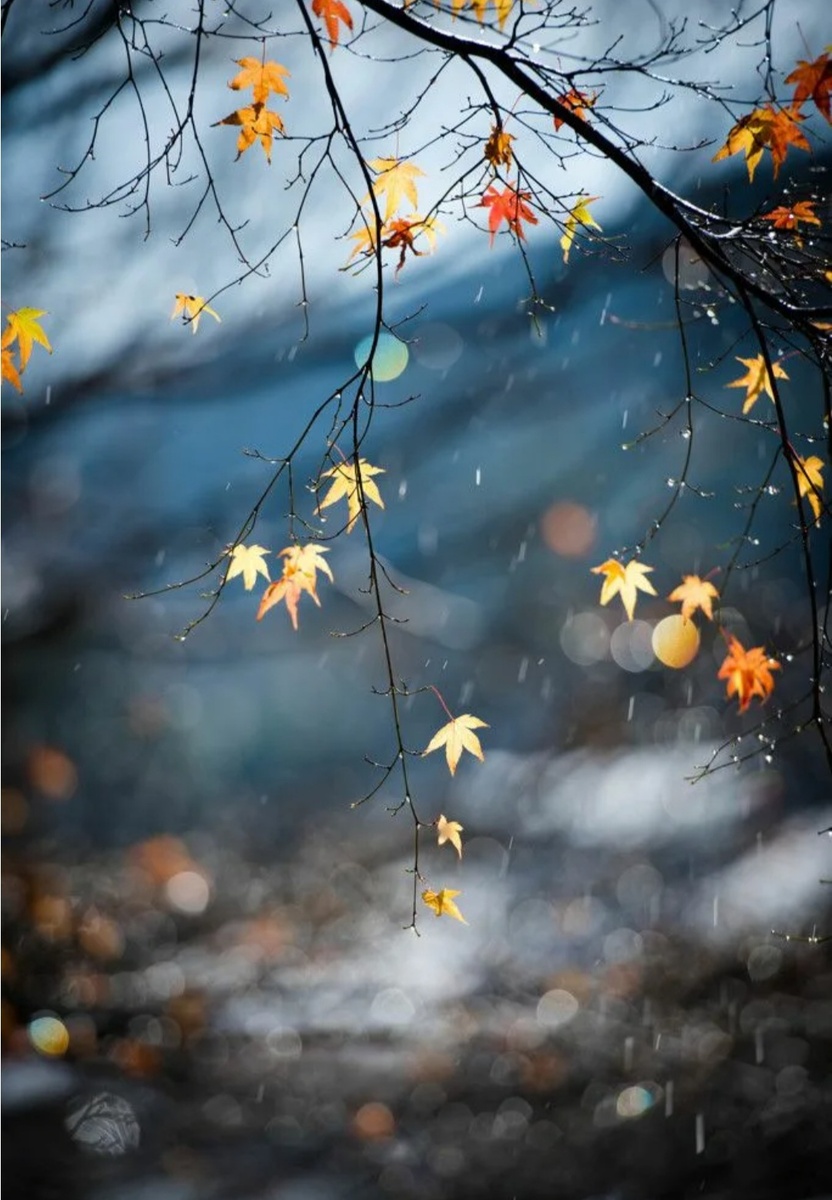 С просторов интернета