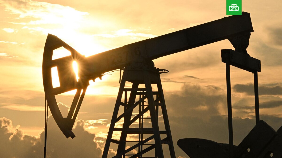    Фото: РИА Новости © 2025, Максим Богодвид