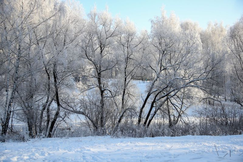    Сергей Лантюхов/NEWS.ru