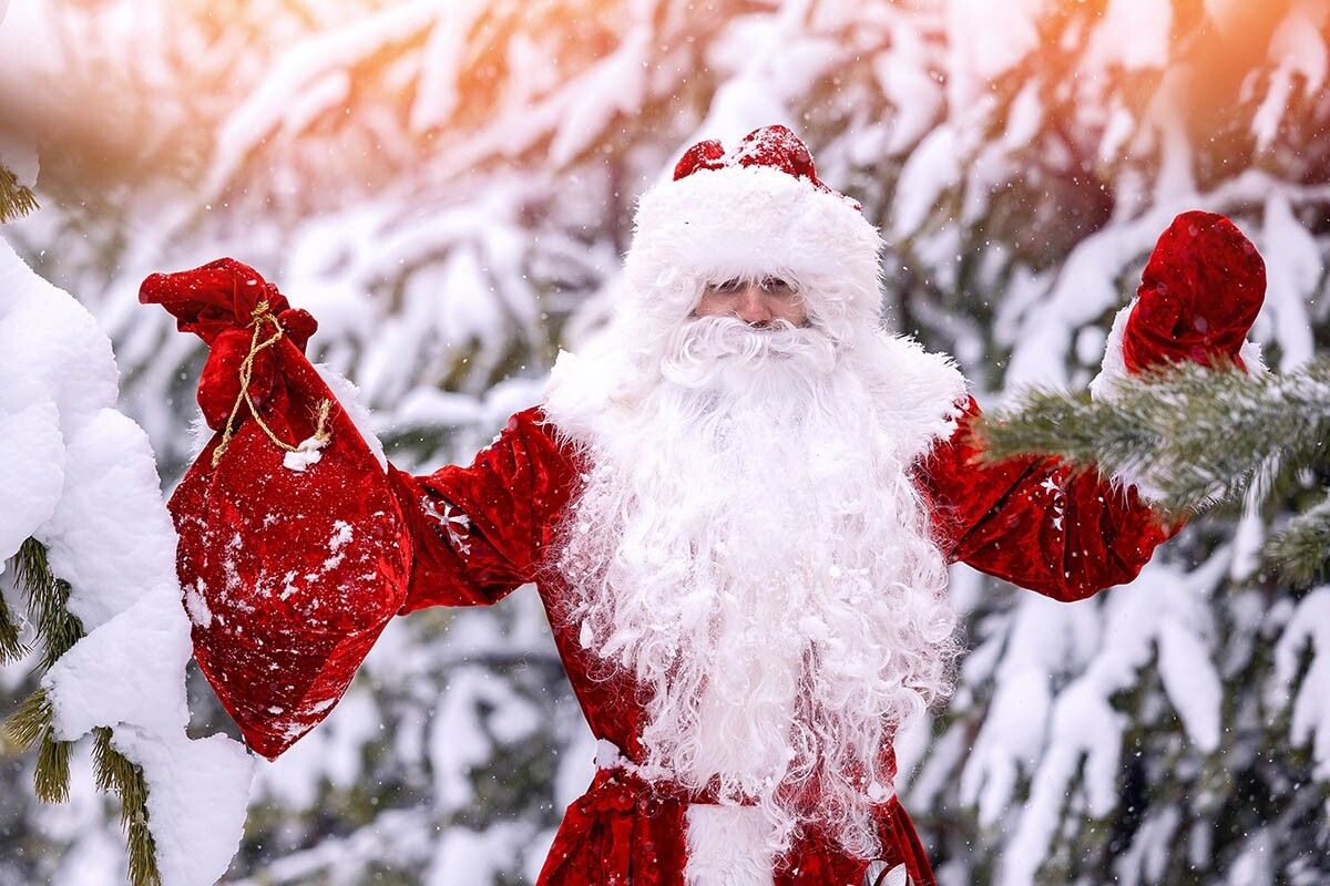 Дед Мороз — символ Нового года. Источник: Parilov / Shutterstock / FOTODOM📷
