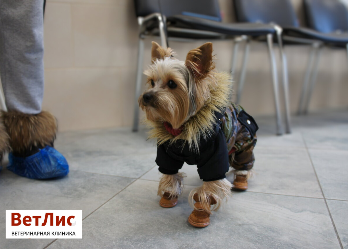 В ожидании приёма