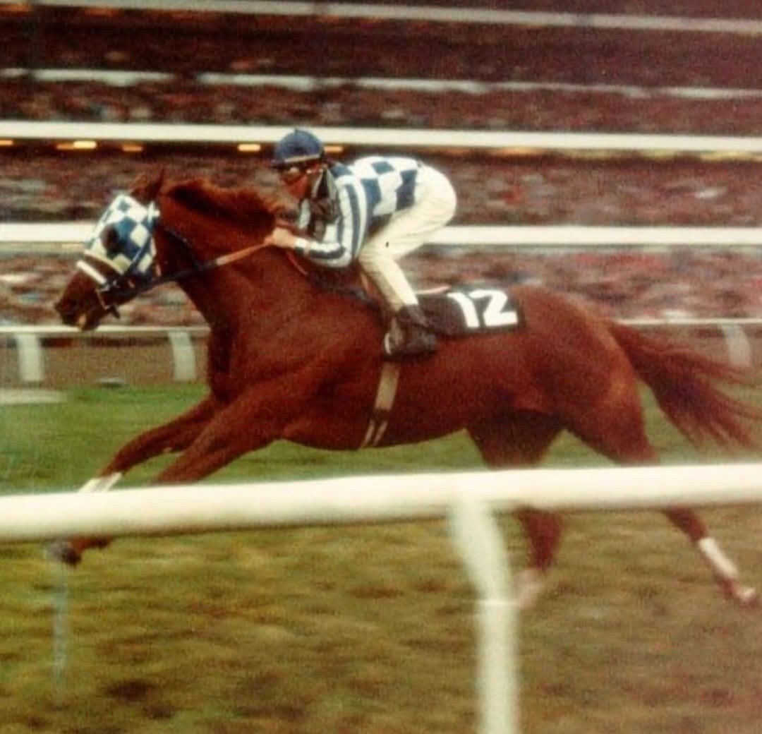 SECRETARIAT October Reign 10/28/1973
