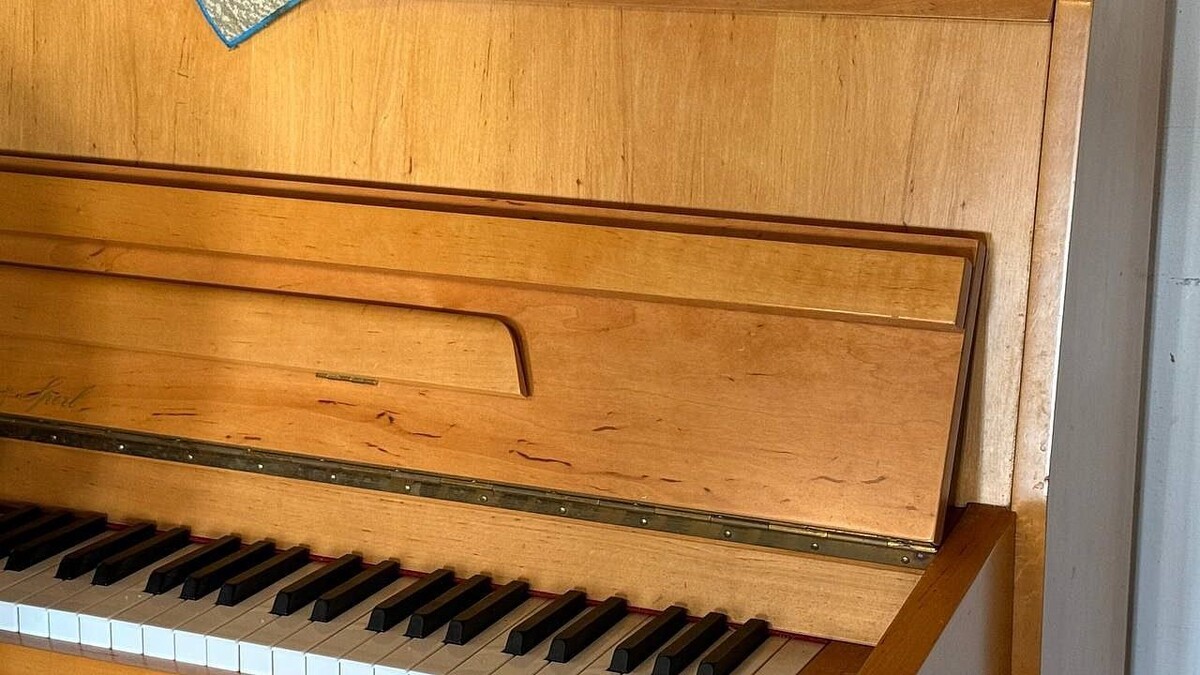    Фото: телеканал «Краснодар»