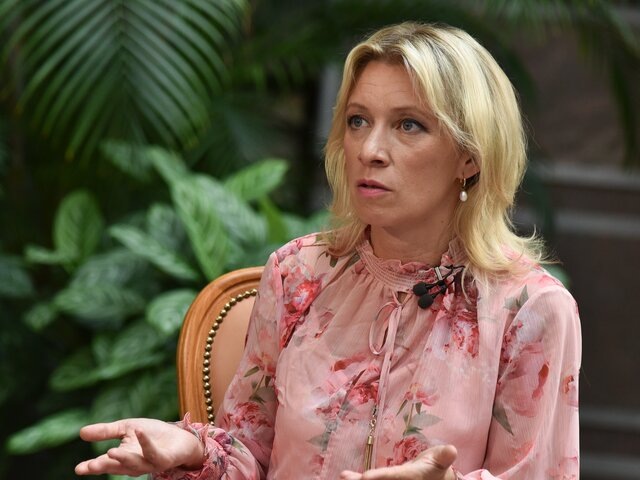    Фото: Москва 24/Никита Симонов