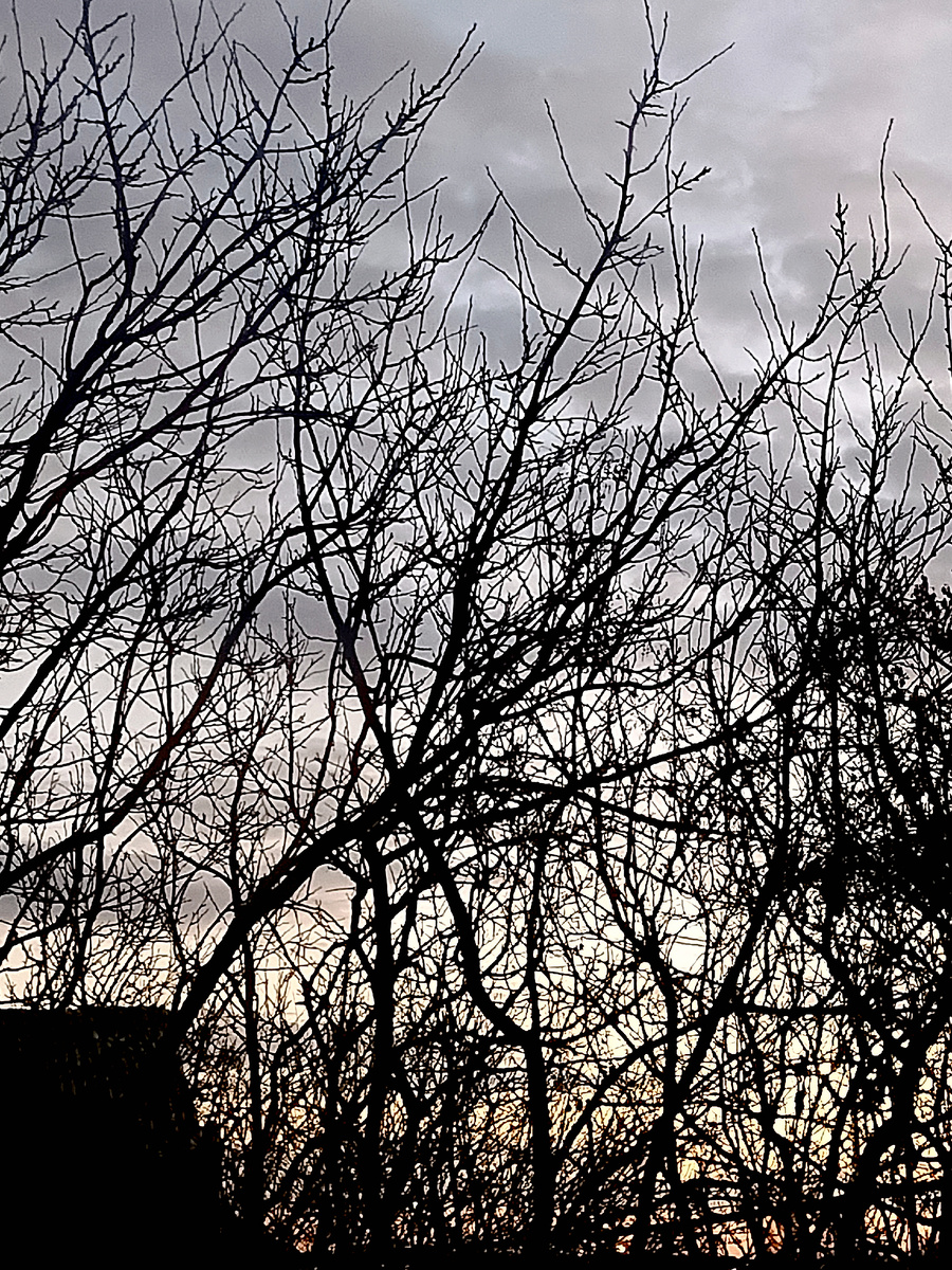 Фоторабота автора канала