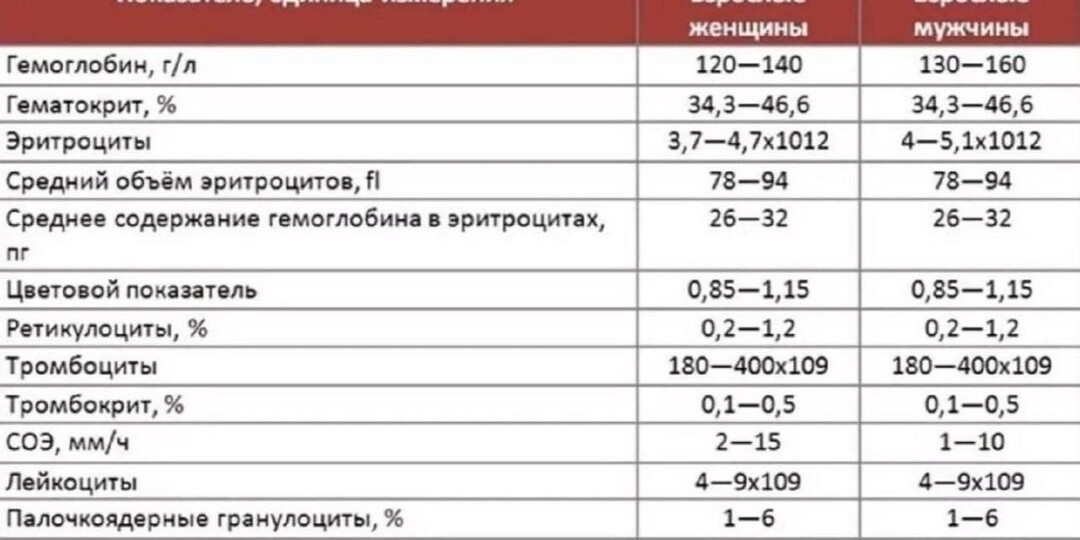 Биохимия крови: главные показатели и норма — расшифровка для начинающих