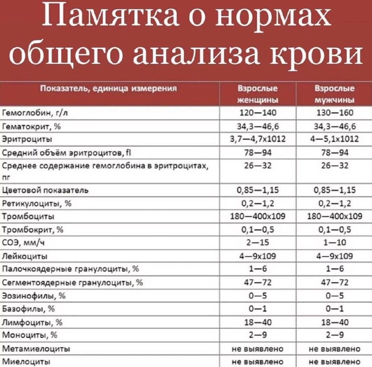 Биохимия Крови: Главные Показатели и Норма — Расшифровка для Начинающих
