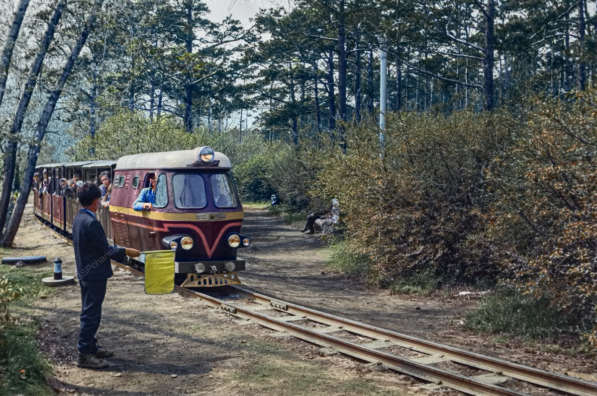 Автор: Борис Петрович Бледнов