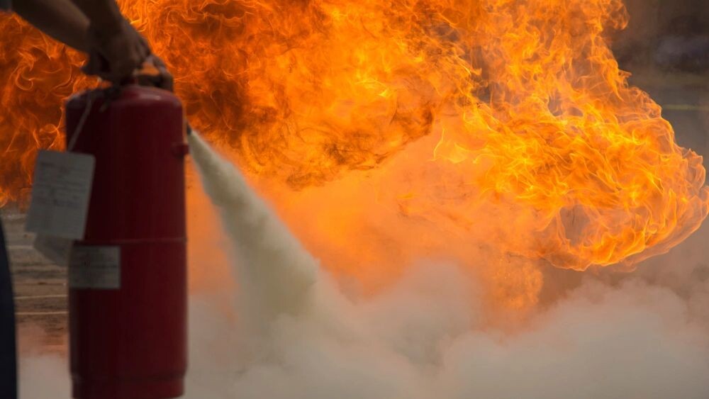    Фото: Independent birds/Shutterstock/Fotodom