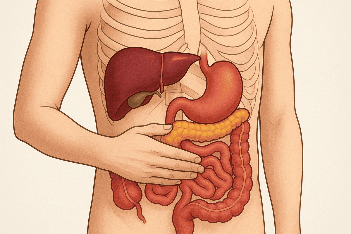 Что Значит, Если После Еды Болит В Правом Боку