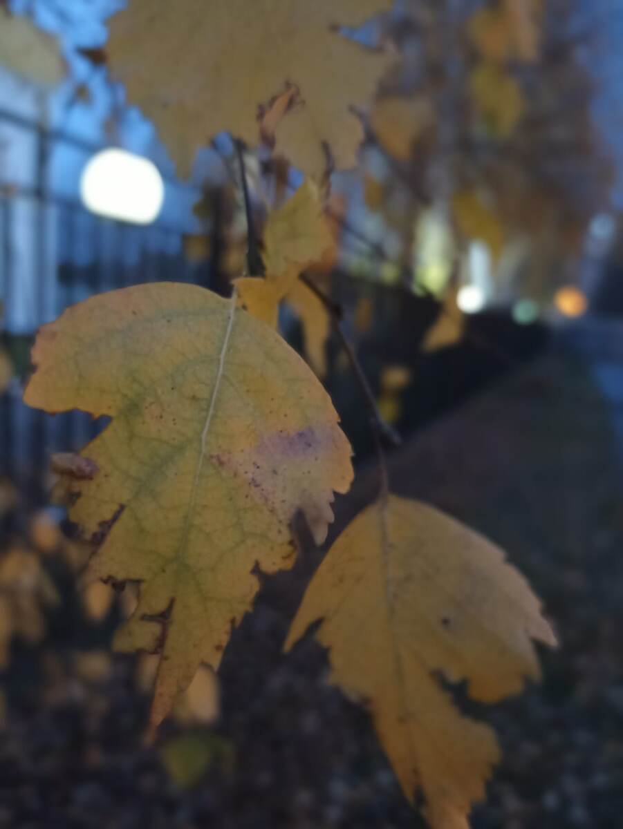 День заметно убавился((