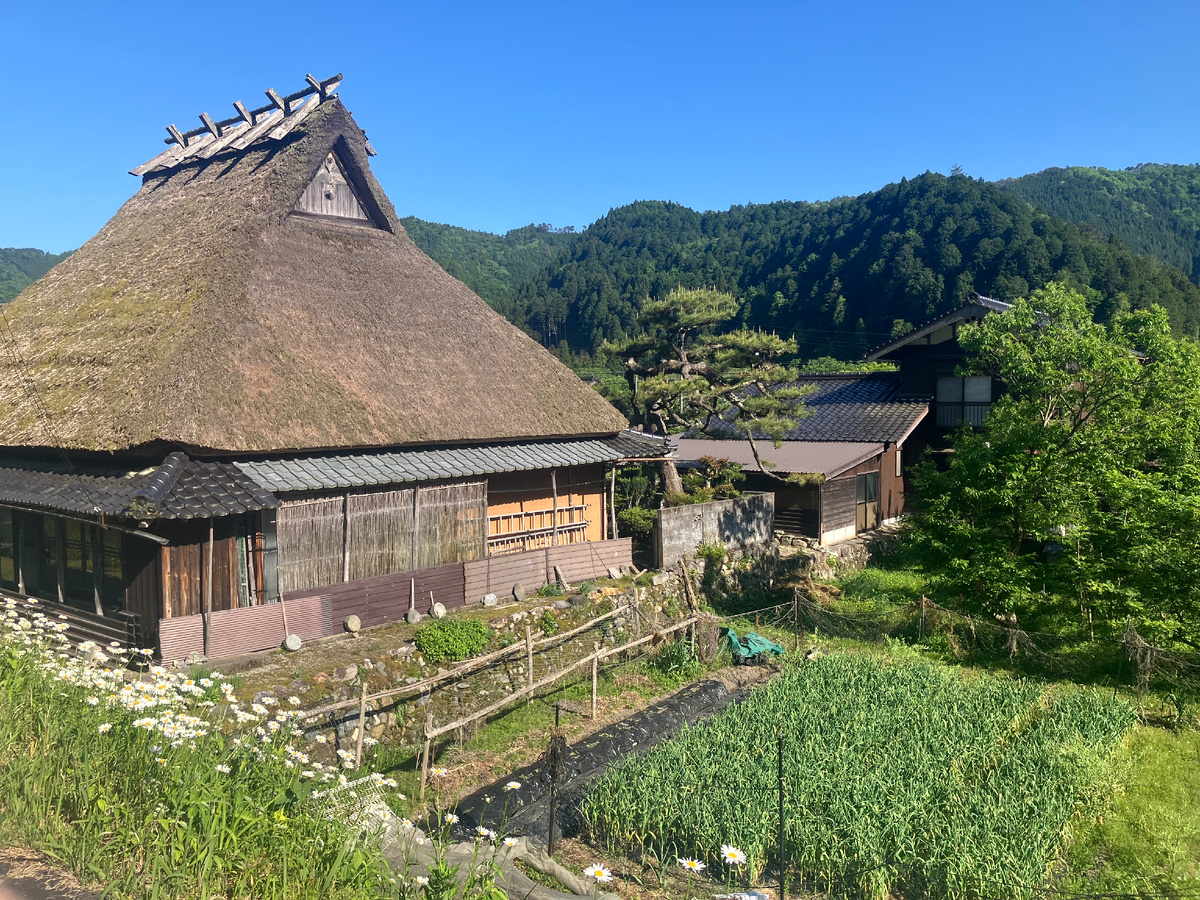 Фото автора. Префектура Киото
