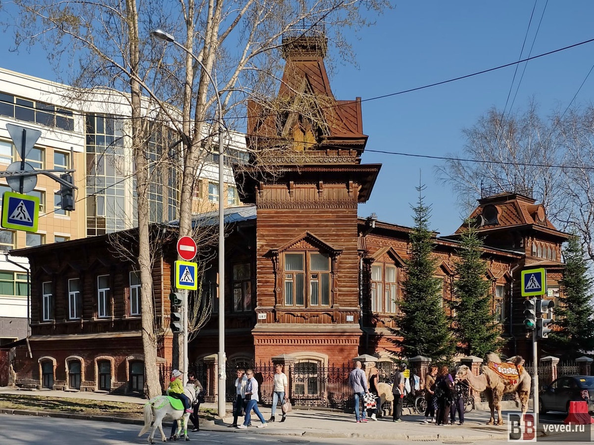     Фото: Владислав Постников / Вечерние ведомости