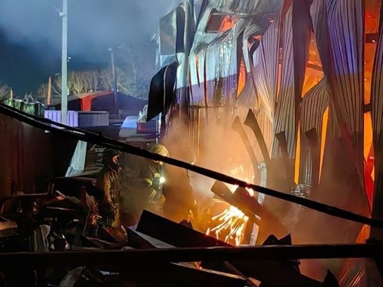     Почти 5 часов потратили пожарные Хабаровска на тушение двухэтажного здания авторазборки фото: пресс-служба ГУ МЧС России