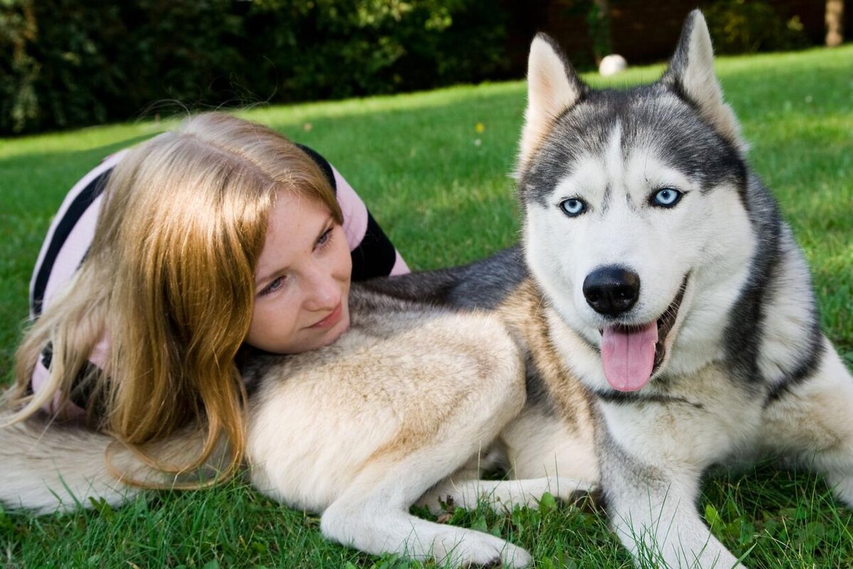    по мнению автора канала, хаски - самые "разговорчивые" собаки 123RF/legion-media.ru