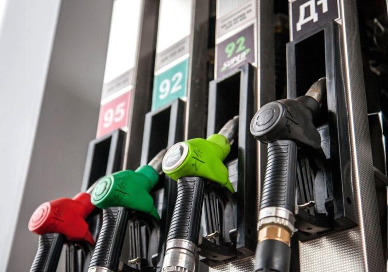    Фото сайта правительства РО admin