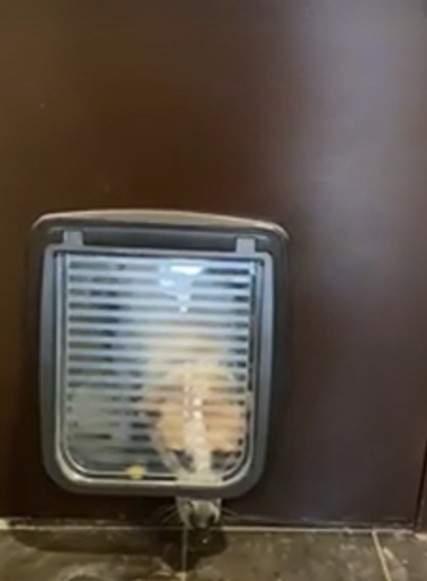 Дверь работает в обе стороны, и на вход, и на выход. Очень удобная штука для жителей частника. Грязь потому, что дверь тоько-только установили. Это скрин из старого видео. 