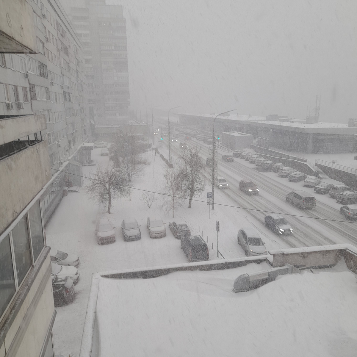 Фото автора.  Февральская метель