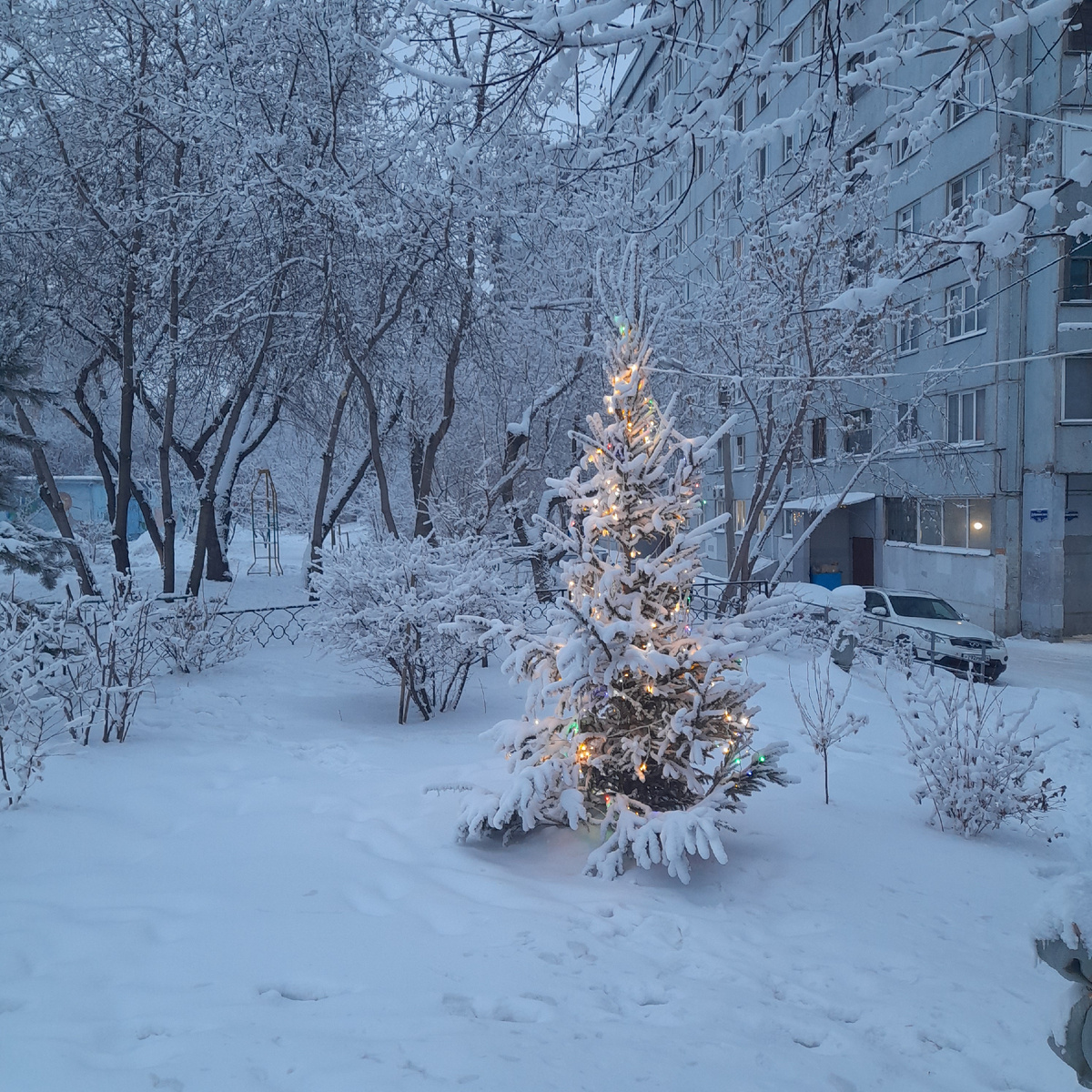 Фото автора.  Морозным вечером во дворе