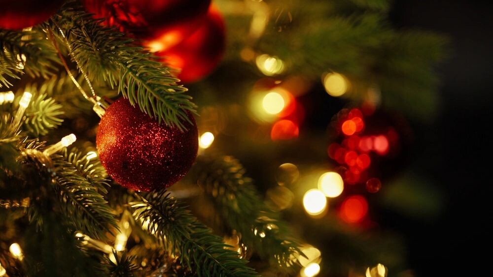    Фото: Kaplitskaia Love/Shutterstock/Fotodom