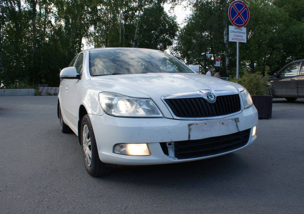 Мой заслуженный "табун скакунов"