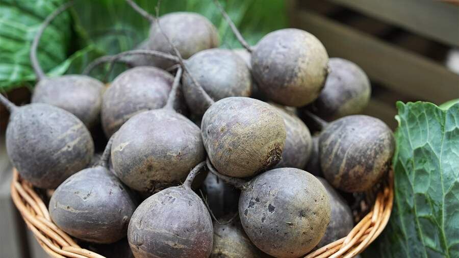    Фото: ИЗВЕСТИЯ/Павел Волков