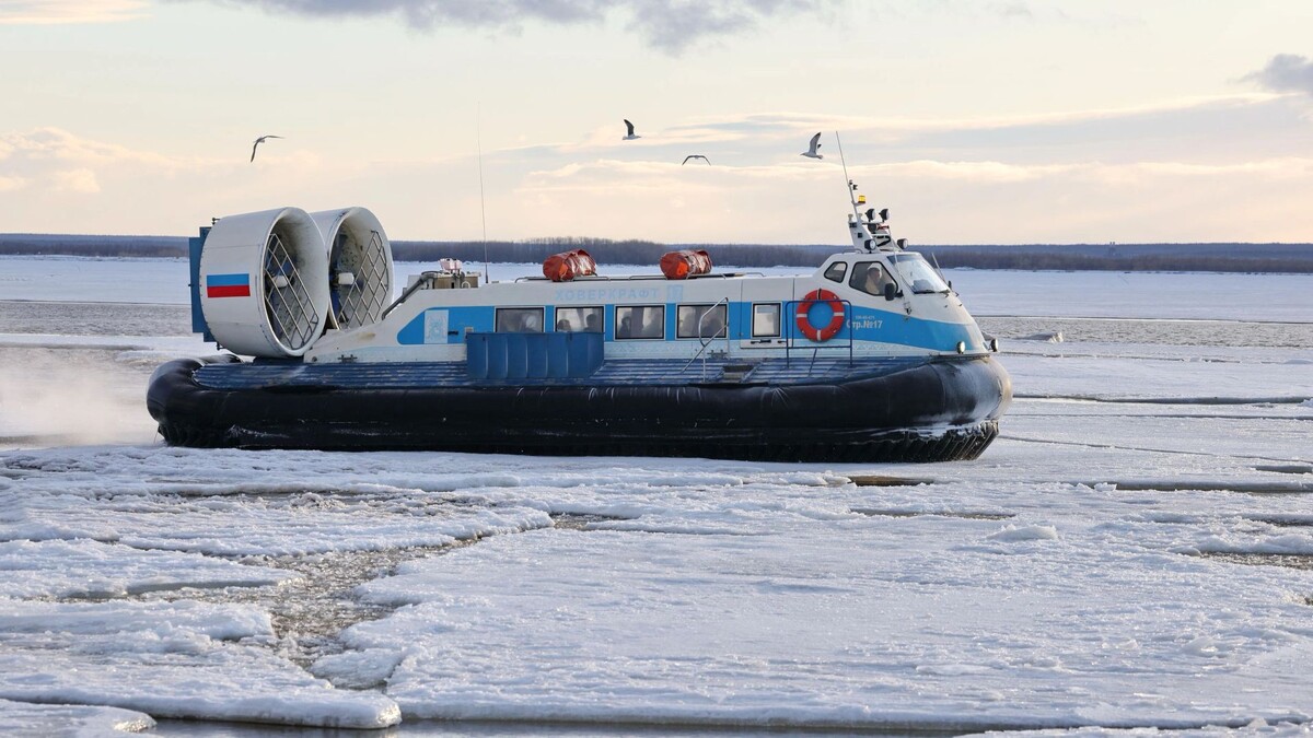    Фото: Андрей Ткачев/«Ямал-Медиа»