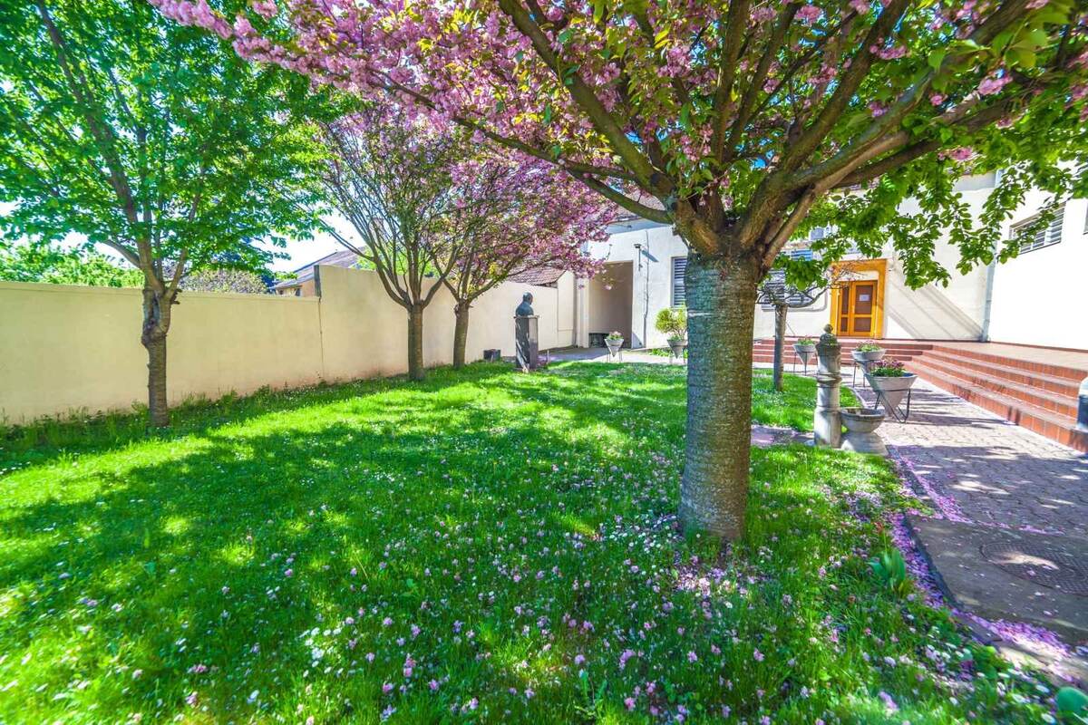 Во дворе галереи. Вишни цветут