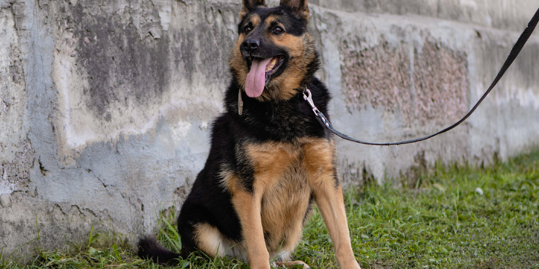 Его нашли истекающим кровью в снегу...