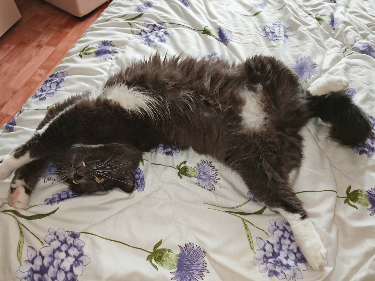 Фото автора канала.