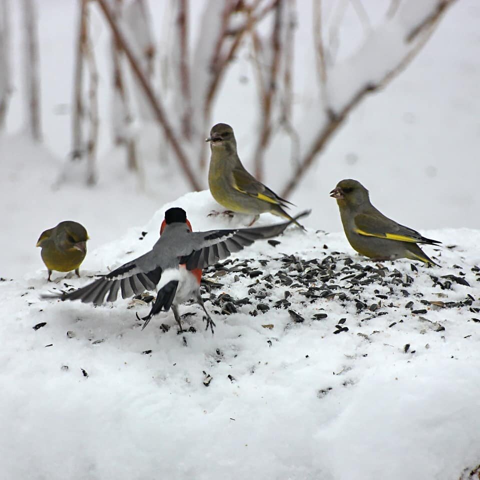 он вполне мирный и, при случае, с любым может дружелюбно поболтать