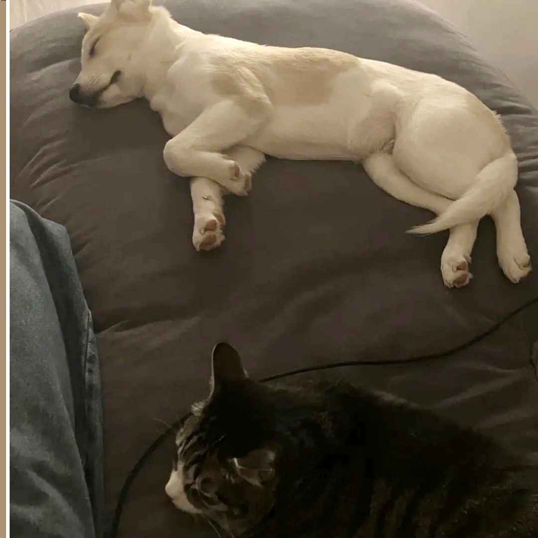 Видите как близко сидят!