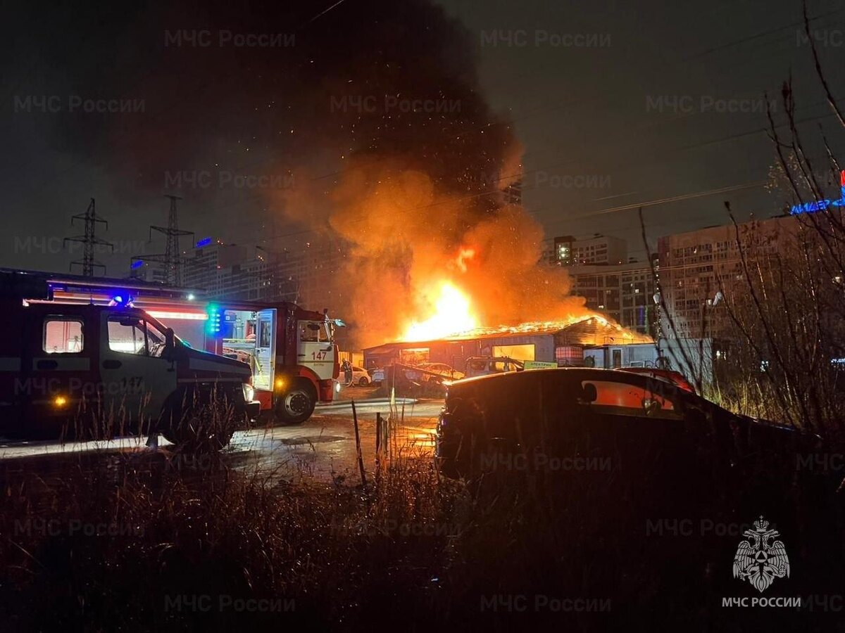    Фото: пресс-служба ГУ МЧС России по Ленинградской области