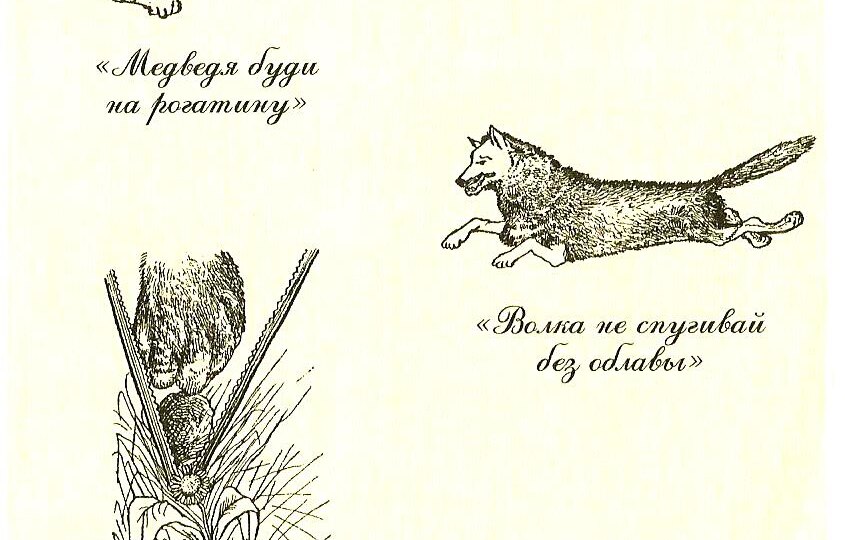 Стратегия Суворова для себя и для дела