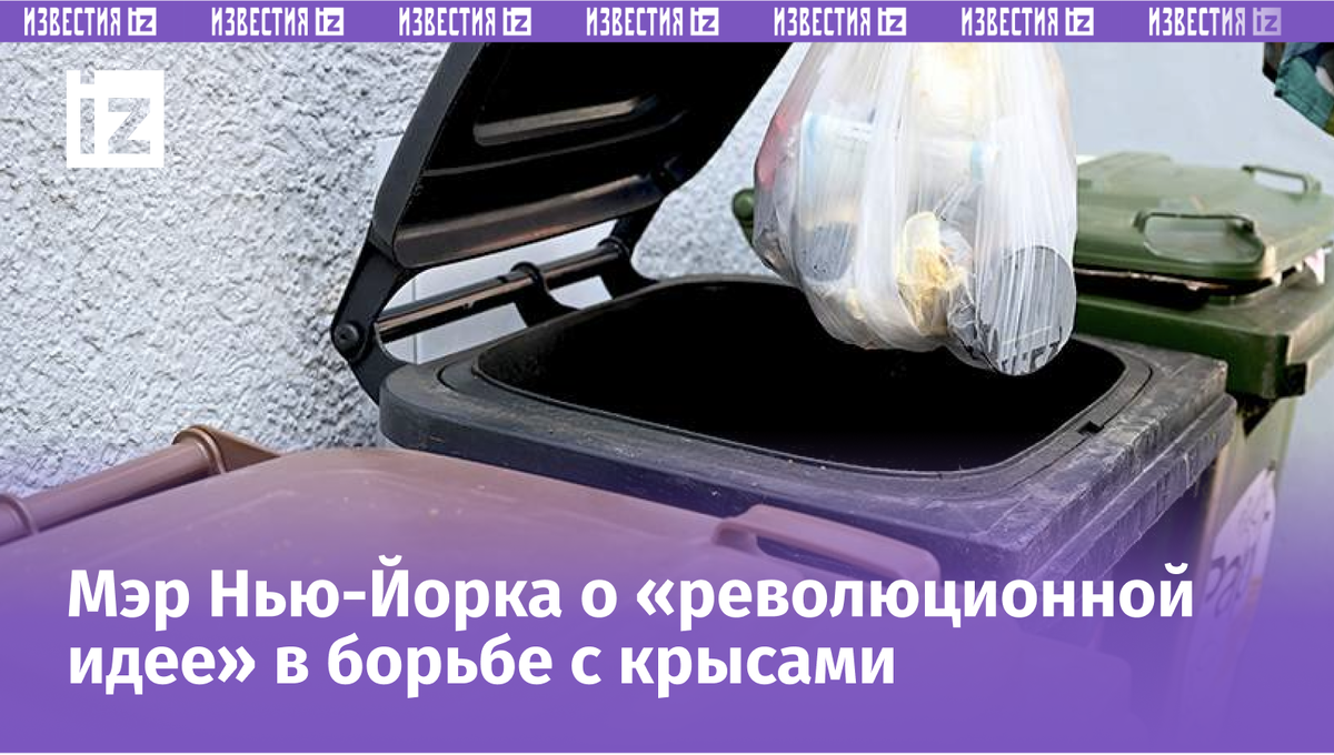 Фото: Global Look Press/Bernd Weißbrod