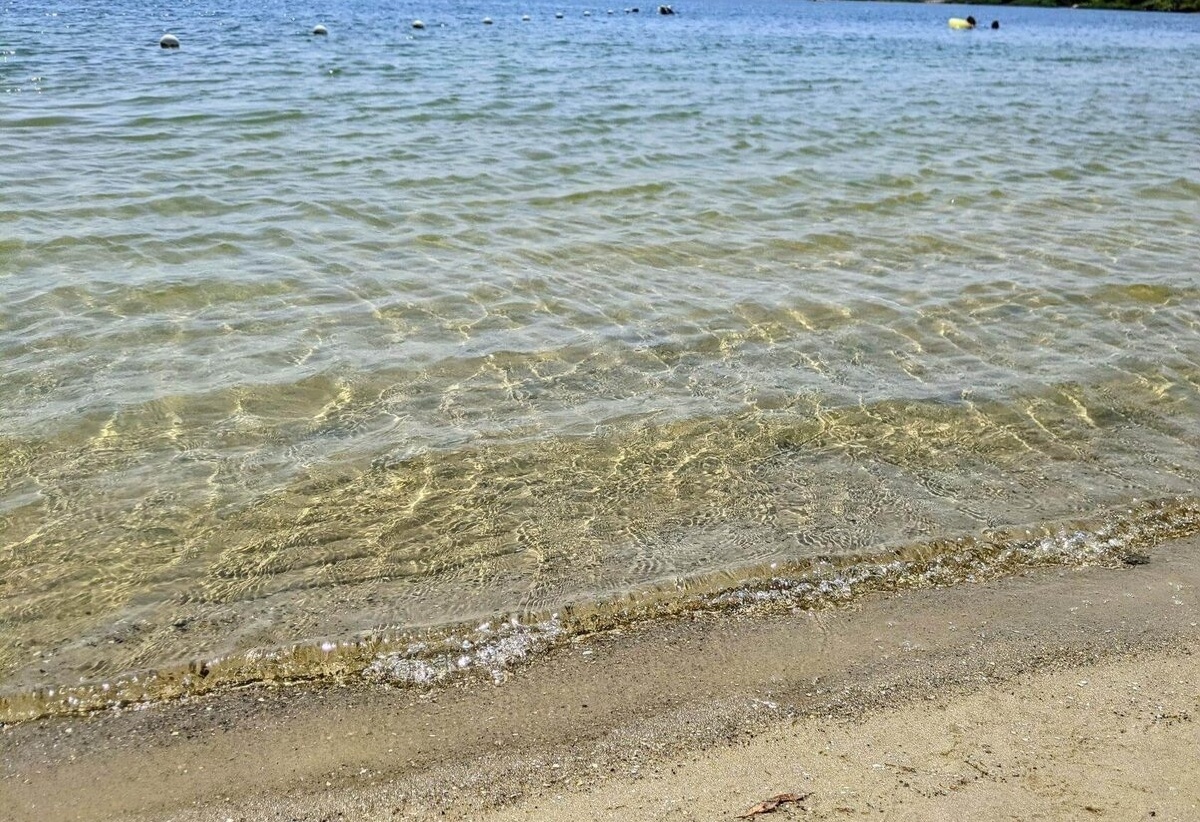 Из открытых источников интернета 