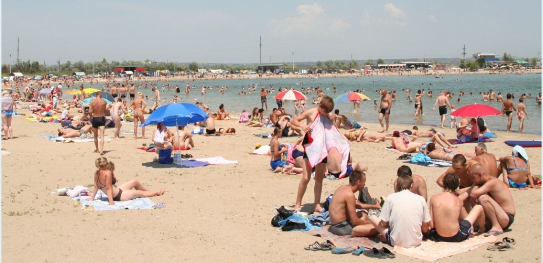 Из открытых источников интернета 