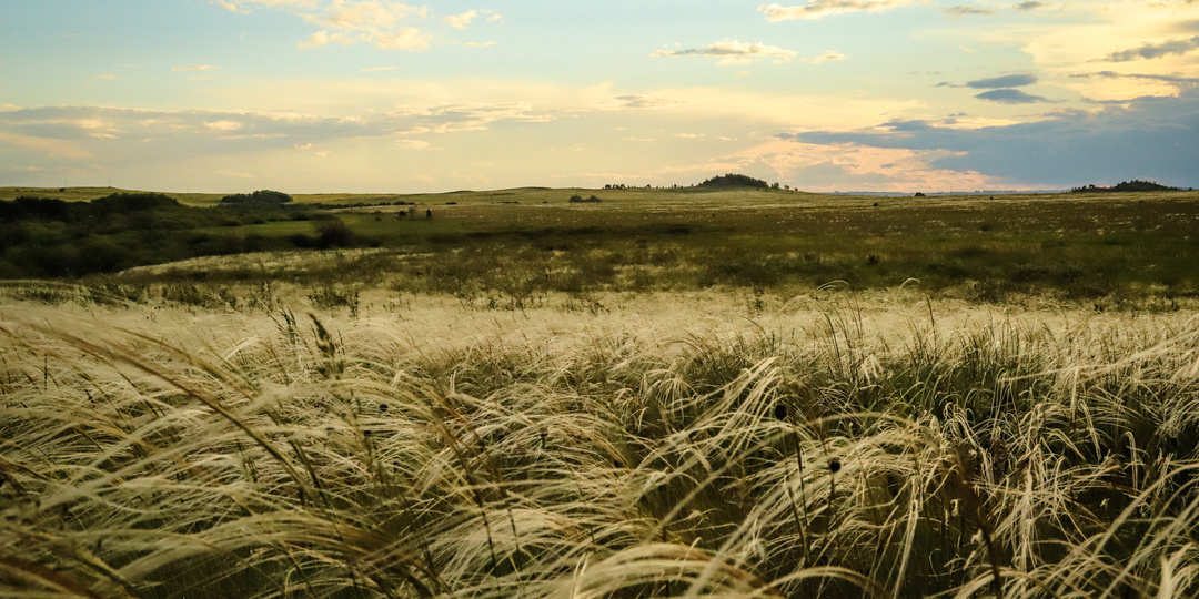 Какие тайны скрывает уральская земля? Археологи рассказали о находках этого года на Южном Урале