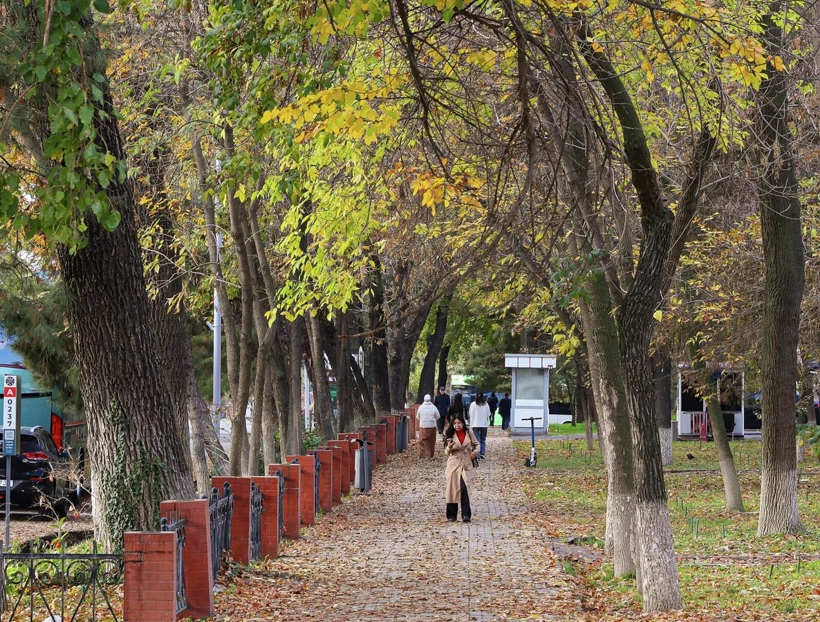 © Sputnik / Бахром Хатамов