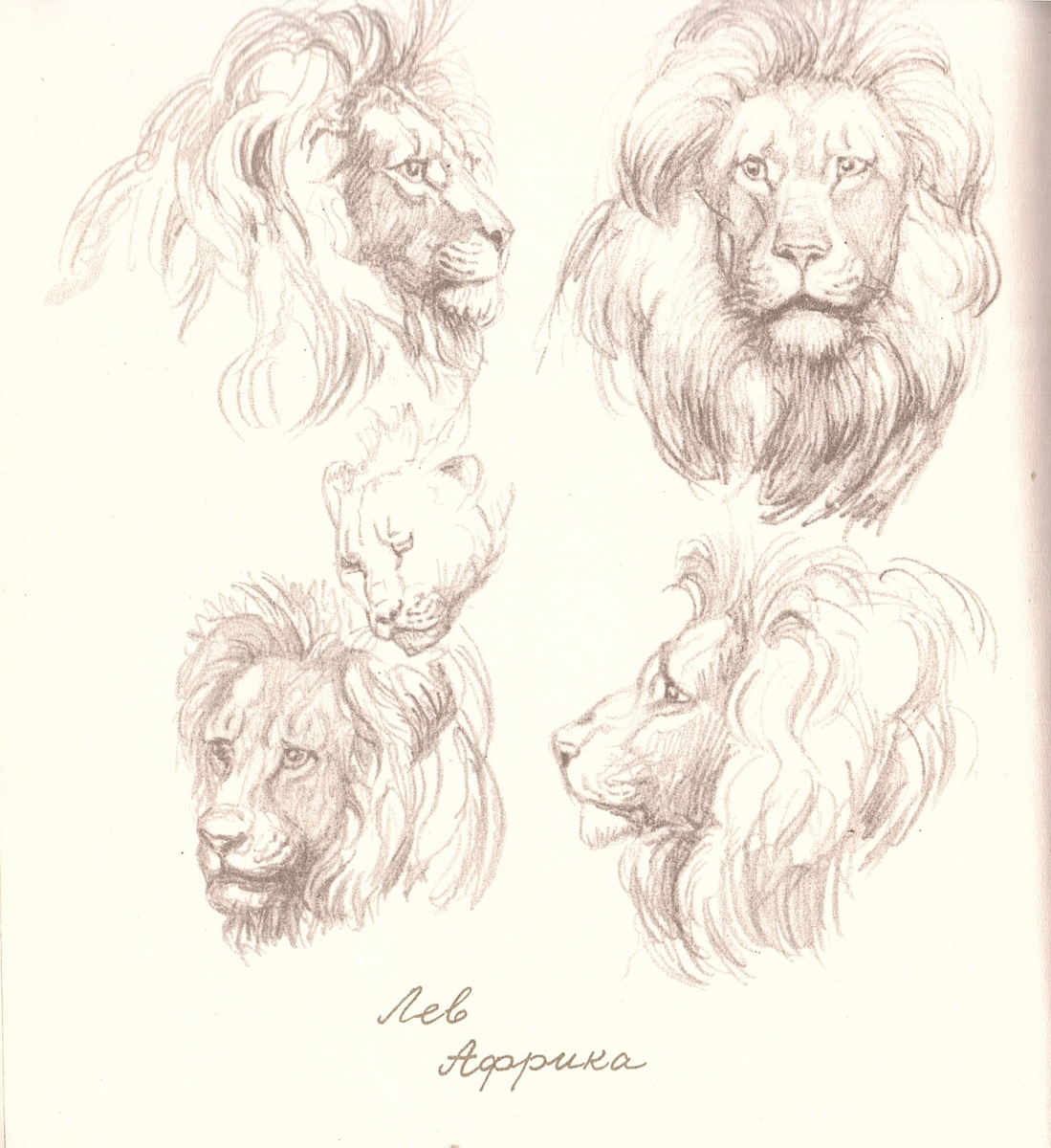 Автор всех работ - Ян Соколовский 