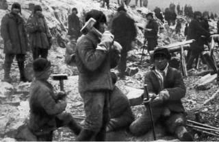 «Остров страшной гибели»: чем занимались зэки ГУЛАГа на острове Вайгач