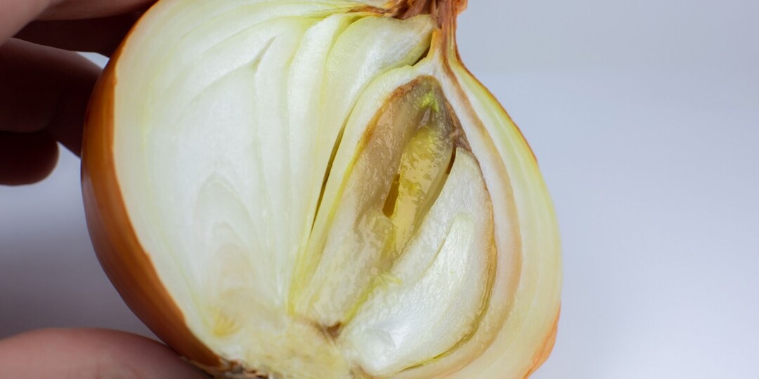 Лук гниет изнутри: проблема частая, но скрытая