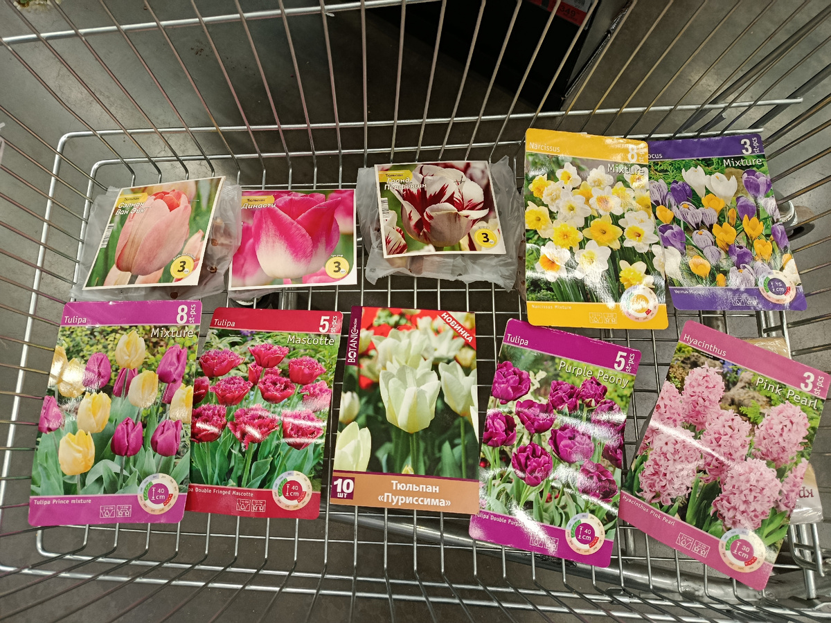 Супер покупки автора