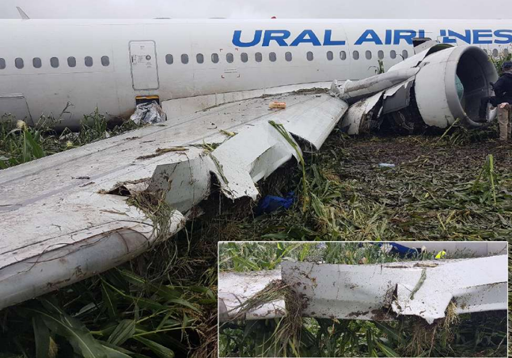     Фото: отчет МАК