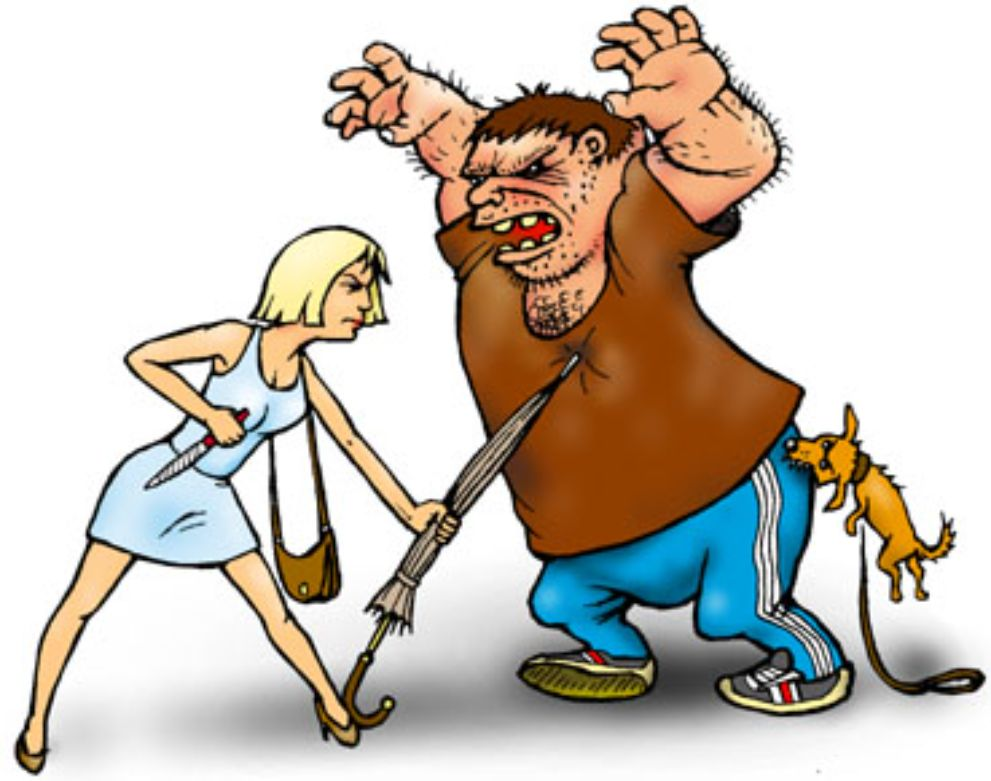 Картинка из общедоступных источников. Но суть  происходящего передаёт очень точно! Особенно собачка хороша! 